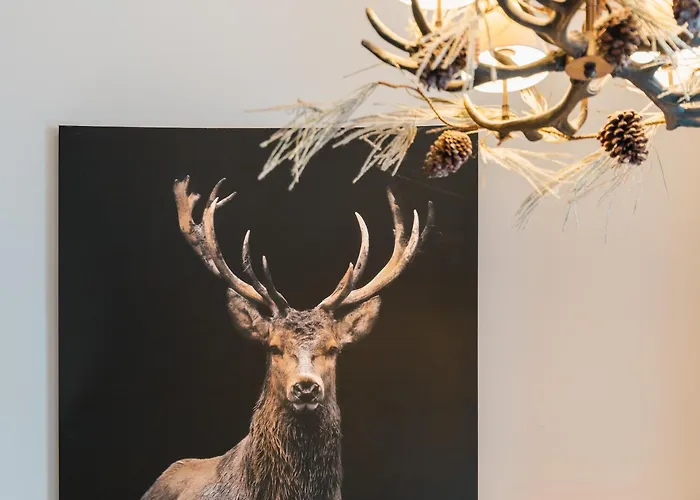 L'eveil - 65m2 - 6-8p - Centre Appartement Cauterets